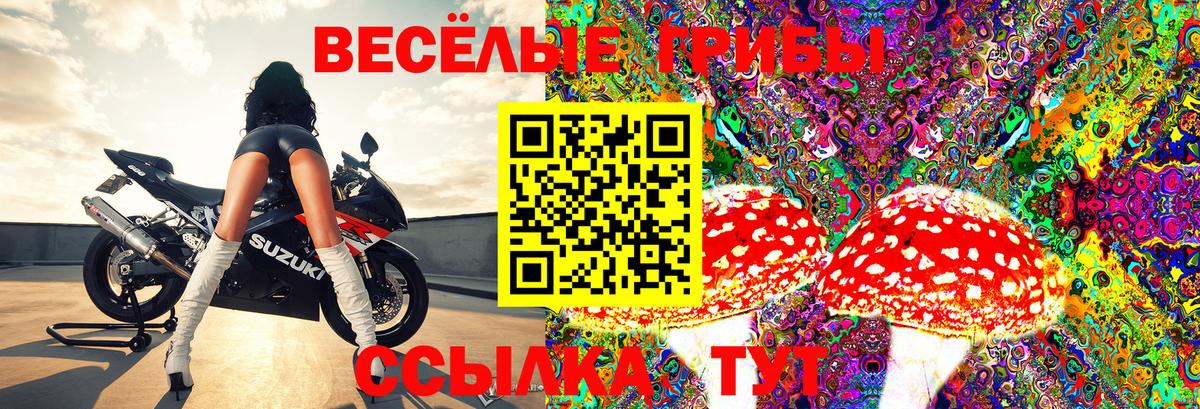 Галлюциногенные грибы мухоморы Кизляр