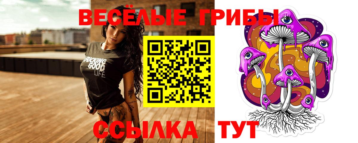 Галлюциногенные грибы мухоморы  Вход с VPN  Кизляр  Галлюциногенные грибы мицелий 